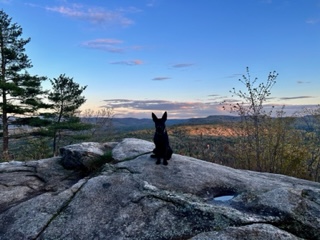 Anubis on Mountain